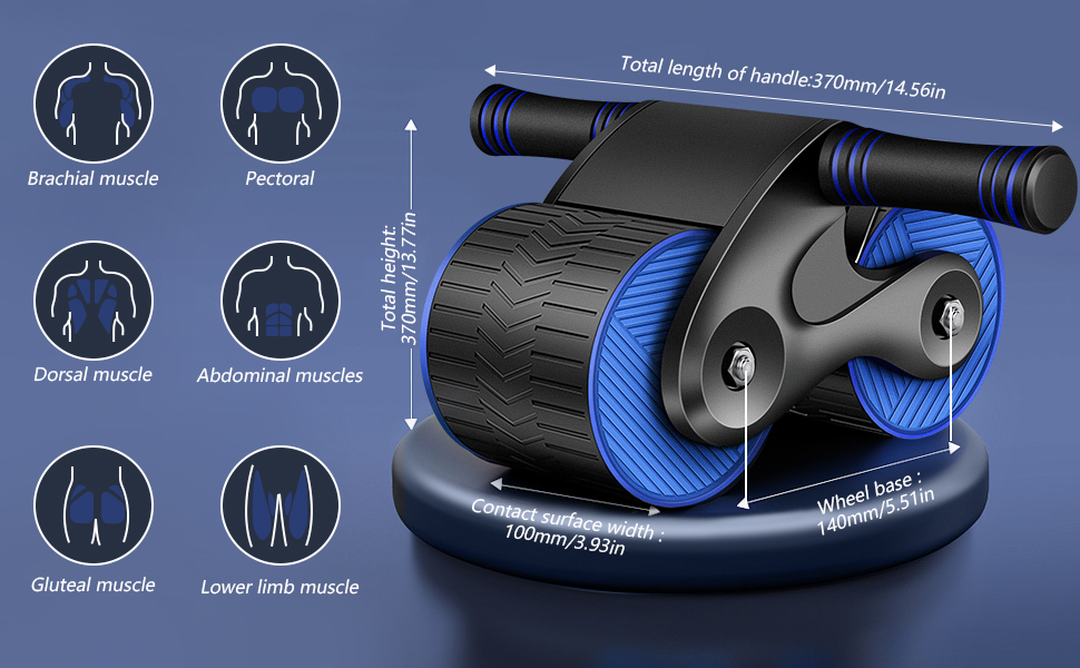 Wheels Roller Domestic Bauchtrainer