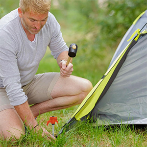 Heringe Erdnägel Stabil