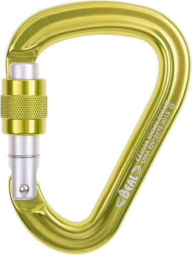 Beal Be Safe Karabiner zum Klettern