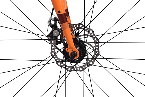 WYNN Gravelbike 28 Zoll GRL5.0 orange Rahmenhöhe 51/54/57/60 cm Damen Herren 14 Gänge