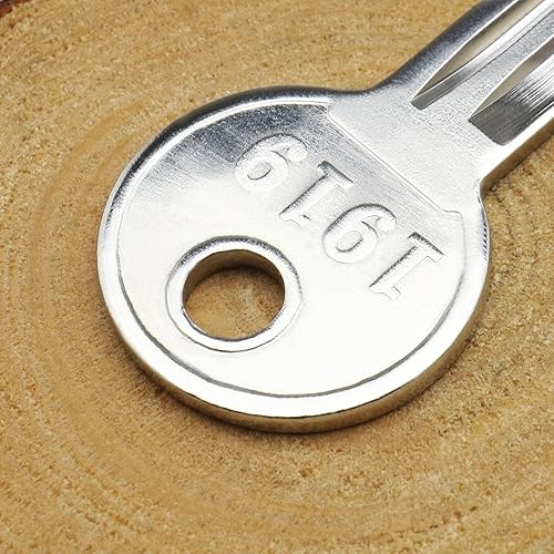 VGOL 2 STÜCKE Golfwagen Zündschlüssel mit 1 STÜCK Schlüsselanhänger 17063G1 Kompatibel mit EZGO TXT Gas und Elektro Golfwagen Ersatzteilen