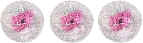 Senmubery Gluehstrumpf Fuer Gaslaterne, 10 Stueck/Pack