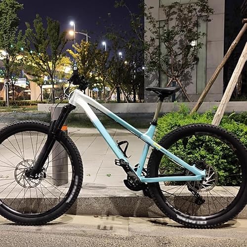 HSIRYAOHD Dirt Jump Bike Rahmen 26er 27,5er AM Hardtail Mountainbike Rahmen 40,6 cm Scheibenbremse Boost Rahmen 12 x 148 mm Steckachse Aluminiumlegierung Rahmen mit Steuersatz-Sattelstützenklemme