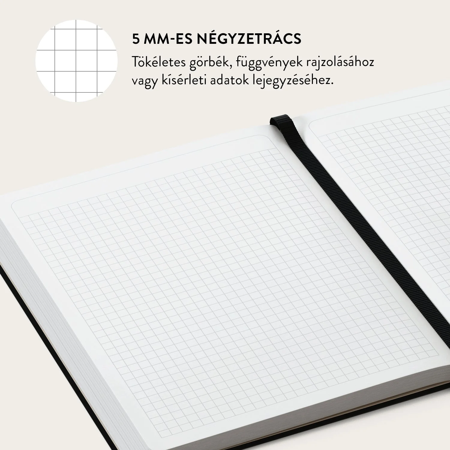 Abacaxi - Notebook