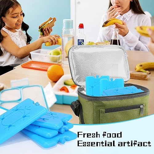 PcvGef 6 Kühlakkus, Kühlakkus für Kühltasche und Kühlbox, Wiederverwendbare Ice Packs für Outdoor-Aktivitäten, Büro und Camping