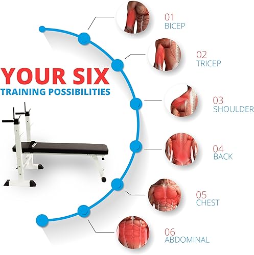 POWRX Hantelbank Profi I Drückerbank höhenverstellbar I Dip Griffe für Fitness Kraft Training I Trainingsbank Einzeln oder Set (Set Hantelbank + 50kg Guss Set)