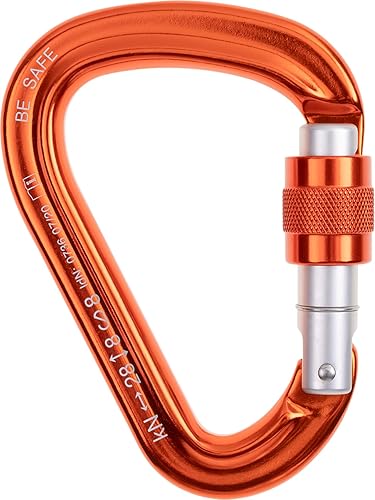 Beal Be Safe Karabiner zum Klettern