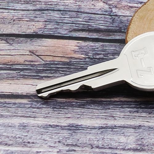 VGOL 2 STÜCKE Golfwagen Zündschlüssel mit 1 STÜCK Schlüsselanhänger 17063G1 Kompatibel mit EZGO TXT Gas und Elektro Golfwagen Ersatzteilen