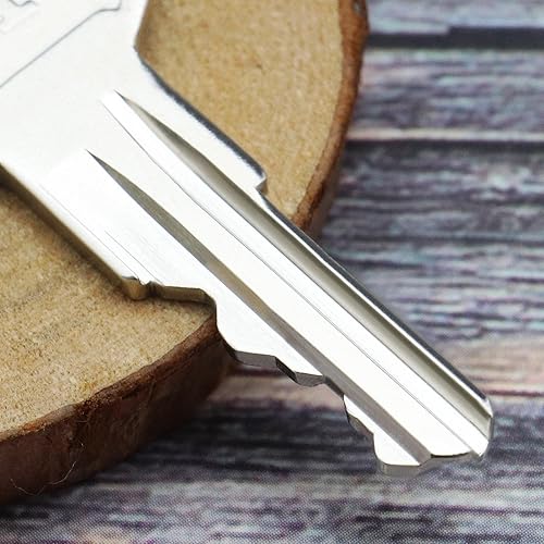 VGOL 2 STÜCKE Golfwagen Zündschlüssel mit 1 STÜCK Schlüsselanhänger 17063G1 Kompatibel mit EZGO TXT Gas und Elektro Golfwagen Ersatzteilen