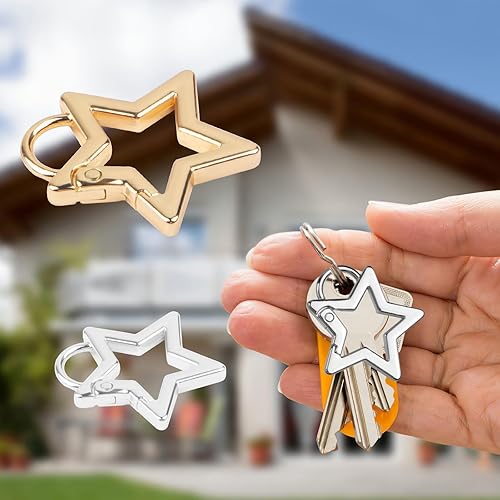 4 Stück Sternkarabiner,Robuster Mini-Sternförmiger Schlüsselanhänger Clip aus Zinklegierung,Coole Sternförmiger Karabinerclip,Karabiner Clip für Camping,Wandern,Angeln,Reisen (Gold,Silber)